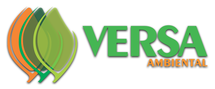 VERSA AMBIENTAL